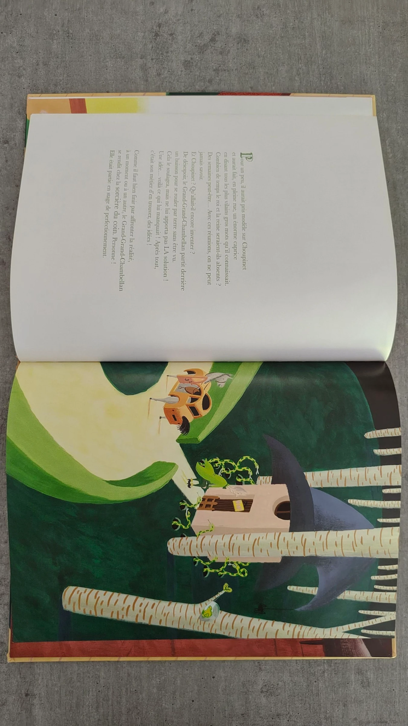 Libro infantil "Choupinet 1er" - Anne Jonas & Michel Boucher – photo 5